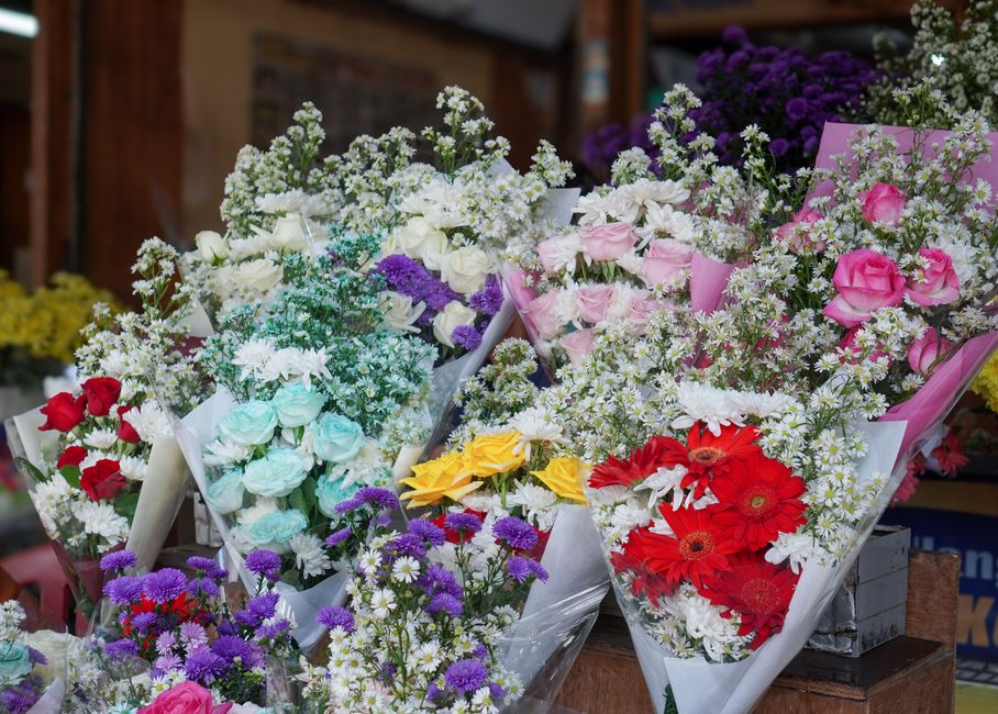 A vibrant display of fresh floral bouquets arranged with a variety of flowers including pink roses, white daisies, purple chrysanthemums, red gerbera daisies, and light blue roses, wrapped in pastel-c